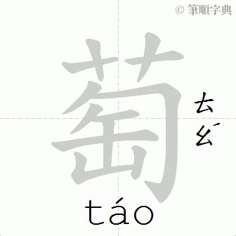 萄造詞|萄：萄的意思/造詞/解釋/注音